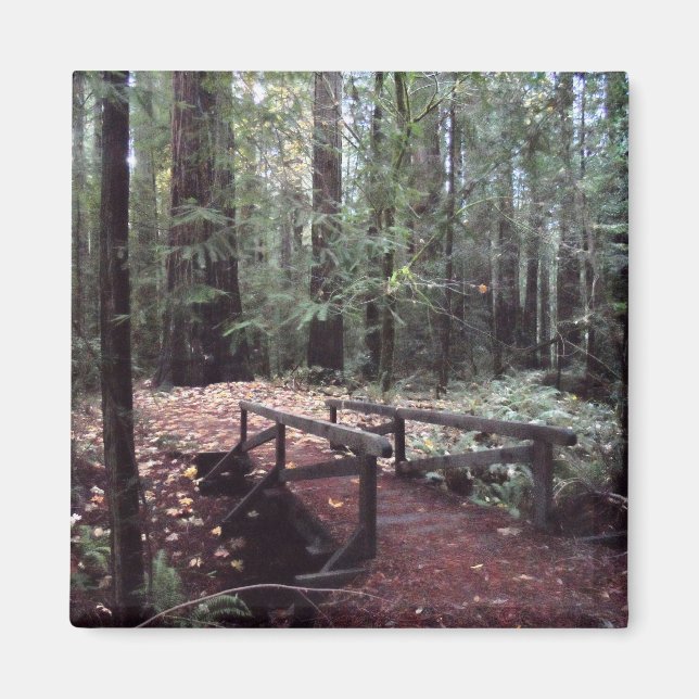 Imã Ponte Florestal - Parque Estadual de Humboldt Redw (Frente)