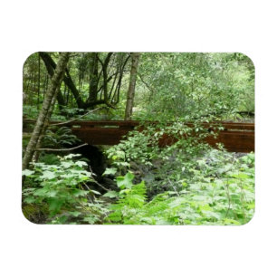 Ímã Ponte Muir Woods I