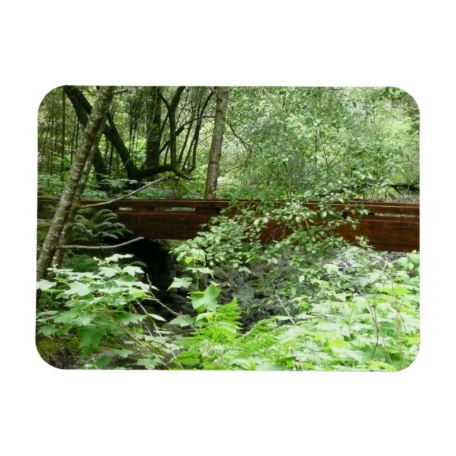 Ímã Ponte Muir Woods I (Horizontal)