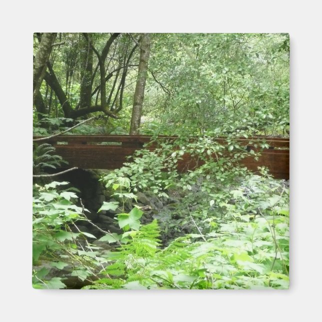 Imã Ponte Muir Woods I (Frente)