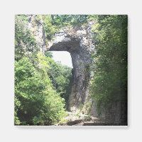 Ponte natural