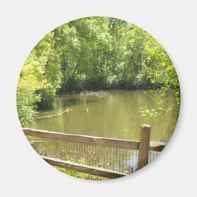 Imã ponte quintal (Frente)