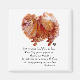 Imã Ponte Rainbow da Pomerânia