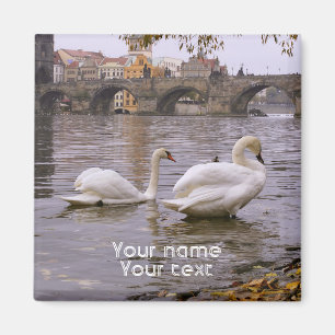 Imã Ponte Swans e Charles em Praga