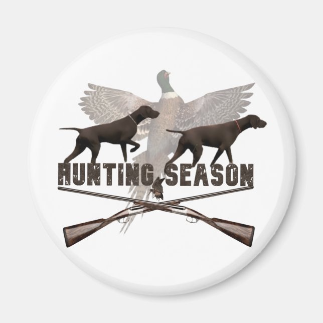 Imã Ponteiro alemão de curta distância,kurzhaar (Frente)