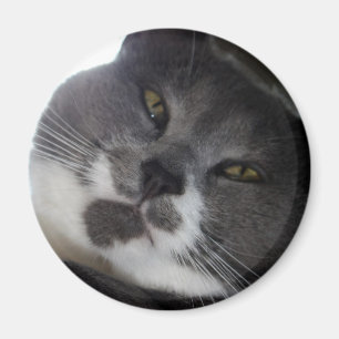 Imã Ponto de entrada 2