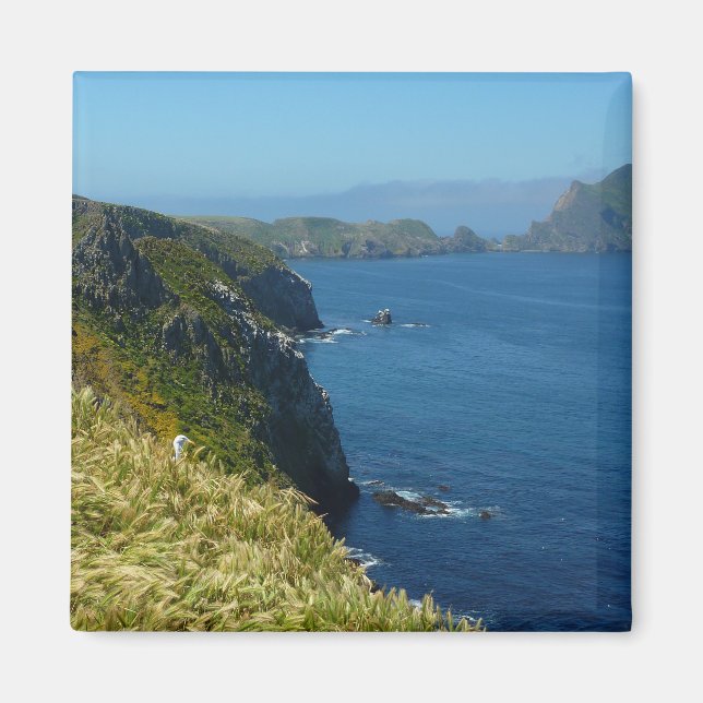 Imã Ponto de Inspiração II da Anacapa nas Ilhas do Can (Frente)