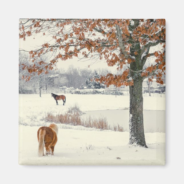 Imã Pony na neve com ímã de árvore (Frente)