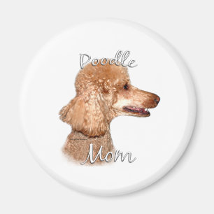 Imã Poodle (damasco) Mãe 2