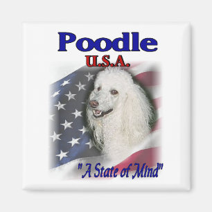 Imã Poodle Lovers