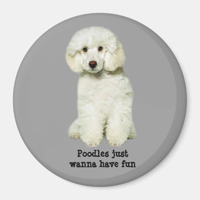 Imã Poodle Magnet (Frente)