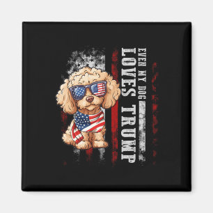 Imã Poodle Mesmo Meu Cachorro Ama Trump Engraçado