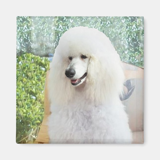 Imã Poodle Padrão Branco (Frente)