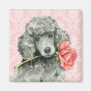 Imã Poodle Padrão do Rosa do namorados
