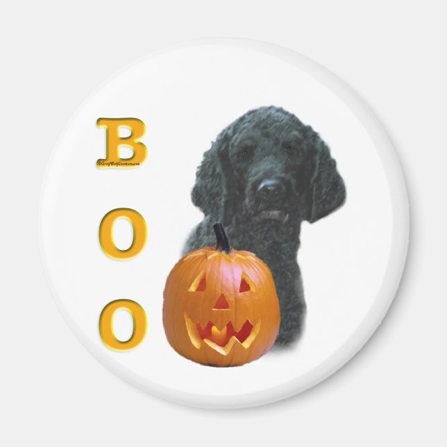 Imã Poodle (Revestido Preto) Boo (Frente)