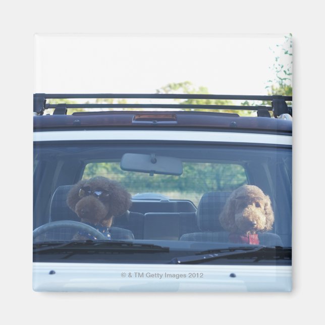 Imã poodle standard 4 (Frente)