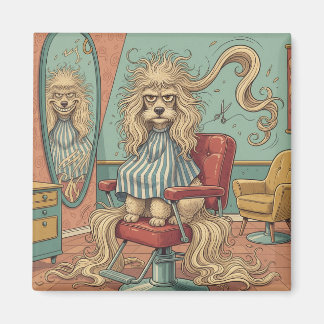Imã Poodle Zangado