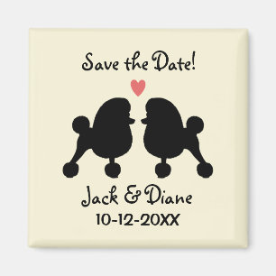 Imã Poodles Toy Pretos Elegantes Casamento Salve a Dat