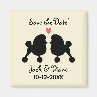 Imã Poodles Toy Pretos Elegantes Casamento Salve a Dat