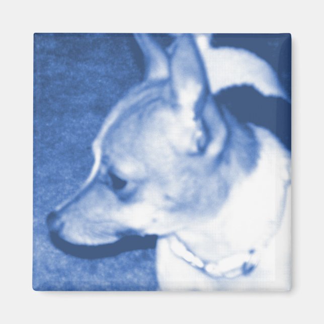 Imã Pop Art Chihuahua Magnet (Frente)