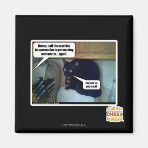 Imã Pop para sua alma?