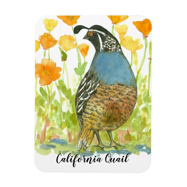 Ímã Pópias de Aquarelas da Califórnia Quail (Vertical)