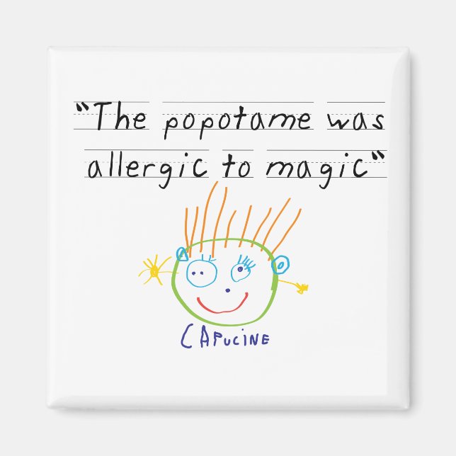 Imã Popotame (Frente)