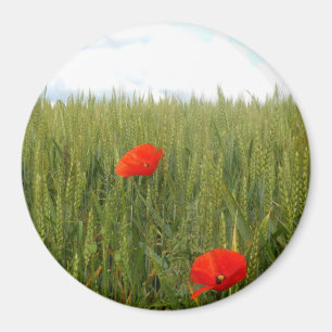 Imã Poppies num campo de trigo Grande Magneta redonda