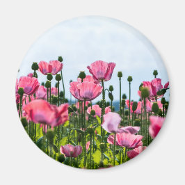 Imã Poppies Rosa