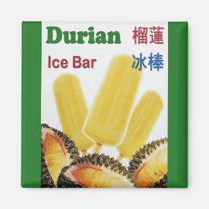 Imã Popsicle da fruta tropical do bar do gelo do