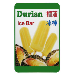 Ímã Popsicle da fruta tropical do bar do gelo do