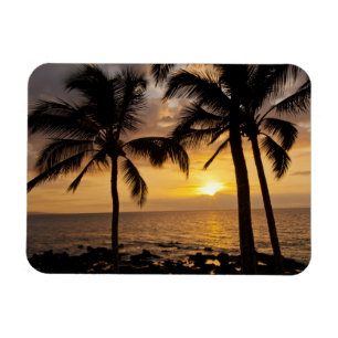 Ímã pôr do sol da palmeira