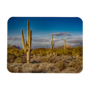 Ímã Por do sol do cacto na arizona