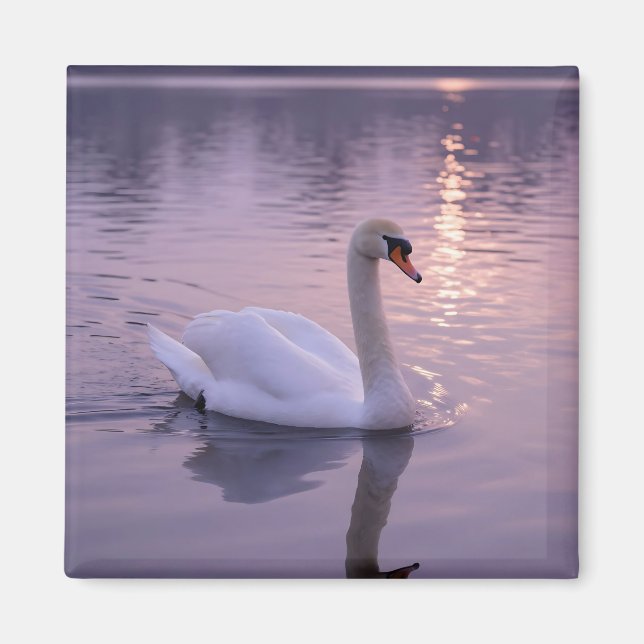 Imã Pôr do Sol do Cisne Elegante (Frente)