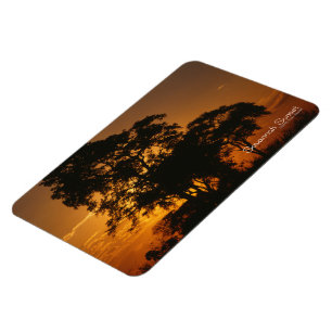 Ímã Pôr do sol em Savannah