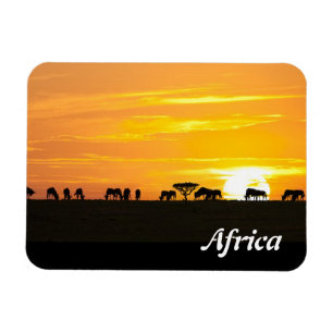 Ímã Por do sol em Serengeti