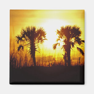 Imã Pôr do sol, N.A., EUA, Carolina do Sul, Charleston