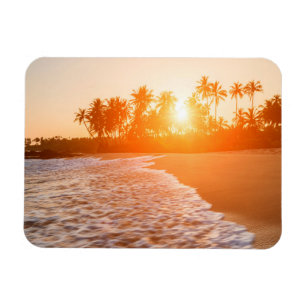 Ímã Por do sol na praia com palmas de coco Sri Lanka