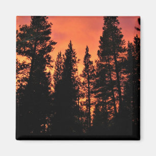 Imã Pôr do sol nos prados de Tuolumne, Yosemite, CA
