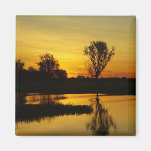 Imã Pôr do sol, Yellow Water Billabong