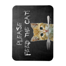 Ímã Por Favor, Alimente O Gato Engraçado