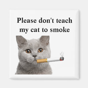 Imã Por favor não ensine meu gato fumar