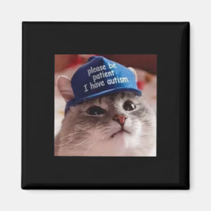 Imã Por Favor Seja Paciente Eu Tenho Autismo Gato Engr