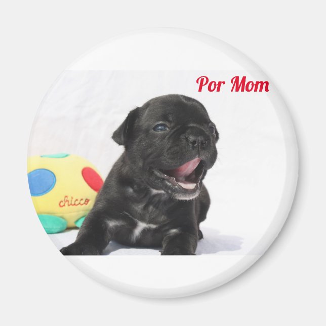 Imã Por Mãe Französische Bulldogge (Frente)