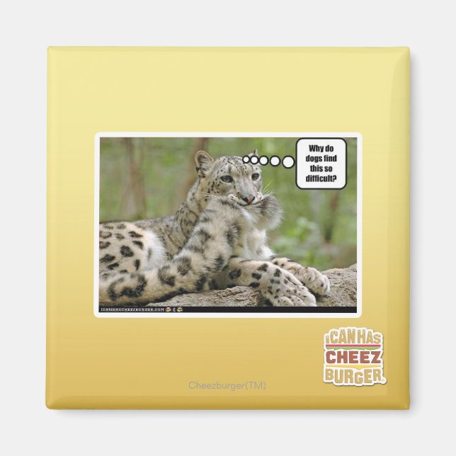 Imã Por que os cachorros acham isso tão difícil? (Frente)