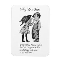 Por que votar totalmente azul em 2028