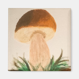 Imã Porcini Mushroom