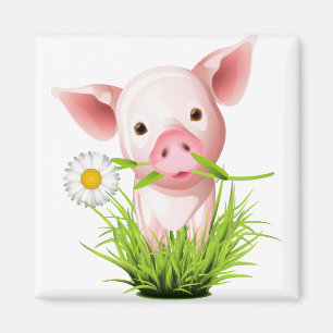 Imã Porco cor-de-rosa pequeno na grama