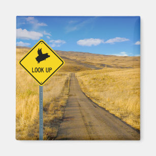 Imã Porcos Voando Acima do Sinal