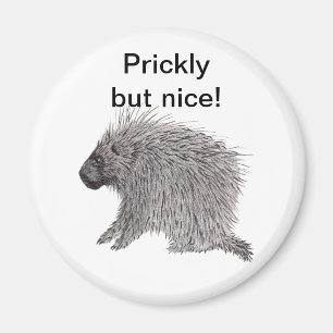 Imã Porcupine